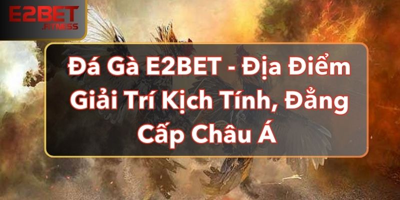 Đá Gà E2BET - Địa Điểm Giải Trí Kịch Tính, Đẳng Cấp Châu Á 